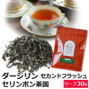 紅茶 茶葉 ダージリン セカンドフラッシュ 2023年 セリンボン茶園 FTGFOP1 MUSCATEL 30g｜silverpot-tea