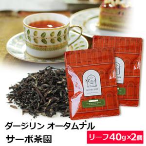 紅茶 茶葉  お得なおまとめ買いセット ダージリン オータムナル 2025年 サーボ茶園 FTGFO...