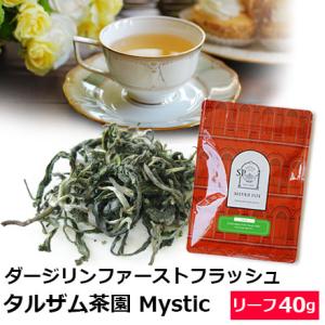 紅茶 茶葉 ダージリン ファーストフラッシュ 2025年 タルザム茶園 Mystic 40g / 春...