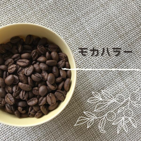 コーヒー豆 モカハラー 100g 自家焙煎焙煎珈琲豆 モカ
