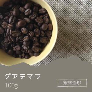 コーヒー豆 グアテマラ 100g 自家焙煎珈琲豆 深煎り｜銀林珈琲ヤフー店