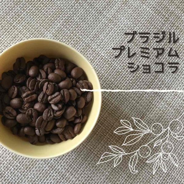 コーヒー豆 ブラジル・プレミアムショコラ 100g 自家焙煎珈琲豆 スペシャルティ
