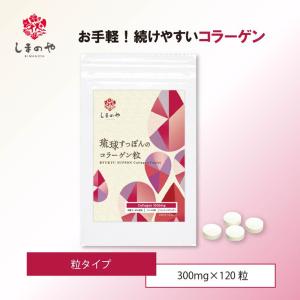 すっぽんの恵みプレミアム 62粒 約1か月分 サプリメント 女性 すっぽん