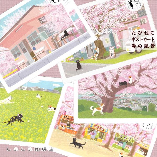 たびネコポストカード 1枚 春の風景 猫 はがき【レターパックプラス可40個まで・レターパックライト...