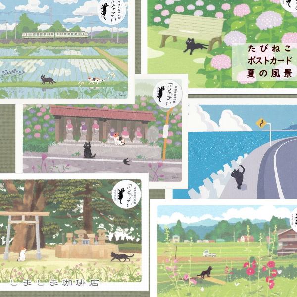 たびネコポストカード 1枚 夏の風景 猫 はがき【レターパックプラス可40個まで・レターパックライト...