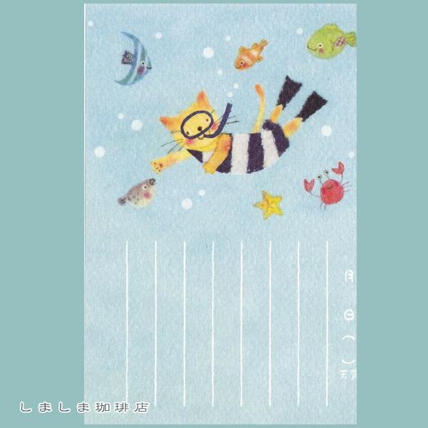 夏柄ネコポストカード１枚 絵日記ポストカード 猫 はがき【レターパックプラス可40個まで・レターパッ...