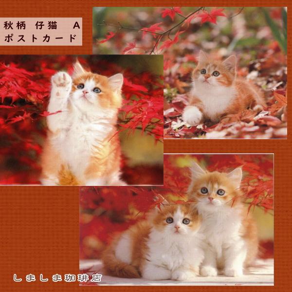 秋柄仔猫ポストカードA  赤もみじ 猫はがき１枚 猫【レターパックプラス可40個まで・レターパックラ...