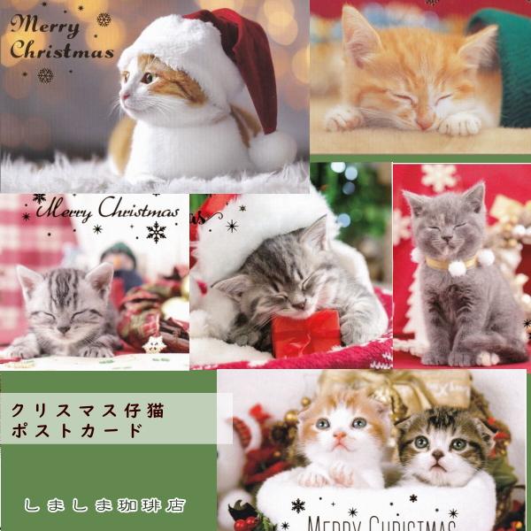 クリスマス仔猫ポストカード１枚  猫 はがき【レターパックプラス可40個まで・レターパックライト可2...