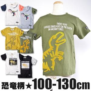 半袖シャツ 半袖Tシャツ 刺繍 さがら シェニール 夏 トップス ティラノサウルス ティラノ T-REX トリケラトプス ボーイズ メール便