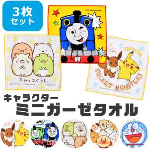 ミニガーゼタオル ミニガーゼ ミニタオル ガーゼタオル ガーゼ 3枚組 3