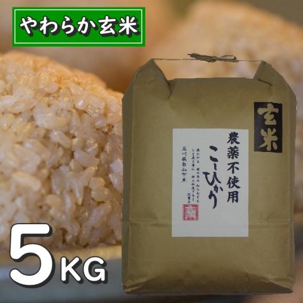 お米 玄米 5kg コシヒカリ 玄米食用 令和5年産 2023年産 石川県白山市 特別栽培 栽培期間...