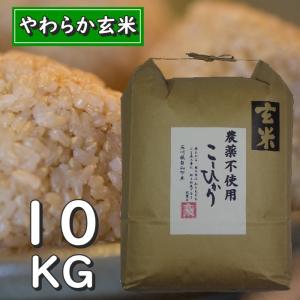 お米 10kg 玄米 コシヒカリ 玄米食用 令和5年産 2023年産 石川県白山市 特別栽培 栽培期間中農薬不使用 やわらか玄米