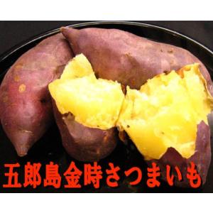 金沢五郎島金時さつまいも コロ中サイズ5kg 1箱の詳細画像1