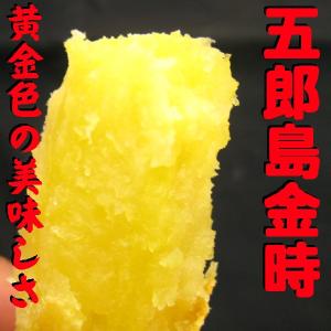 金沢五郎島金時さつまいも コロ中サイズ5kg 1箱の詳細画像2