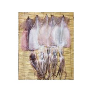 肉厚で焼いても柔らかい塩いか５枚入り　大サイズ