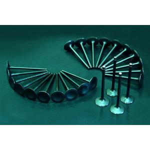 TOYOTA(トヨタ) 1JZ-GTE用鍛造ビッグバルブキット インテーグ用12本、エギゾースト用1...