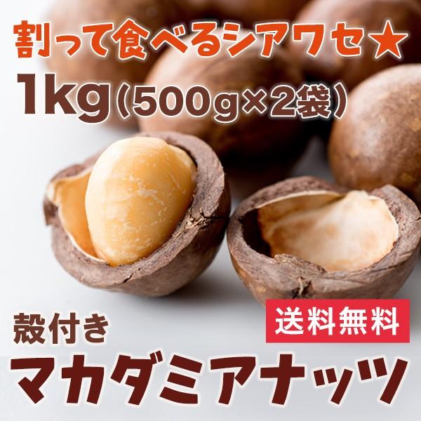 割って食べるから新鮮香ばしい　殻付きマカダミアナッツ　1kg(500g×2袋)　マカデミアナッツ