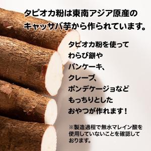 もっちり タピオカ粉 1kg 送料無料 タピオ...の詳細画像2