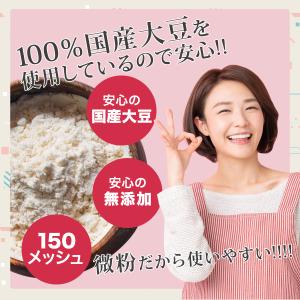 おからパウダー 超微粉 国産 700g 大豆イ...の詳細画像1