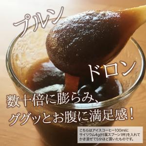 サイリウム粉末(オオバコ)120gPlanta...の詳細画像2