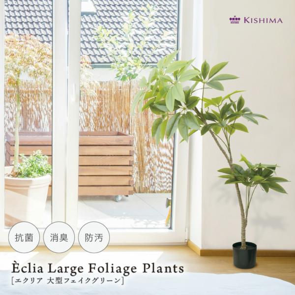 Eclia アーティシャルグリーン パキラ フェイクグリーン CT触媒 抗菌 消臭 防汚 日本国内加...