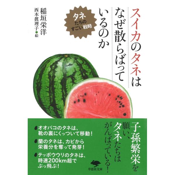 文庫 スイカのタネはなぜ散らばっているのか タネたちのすごい戦略 (草思 (中古品)