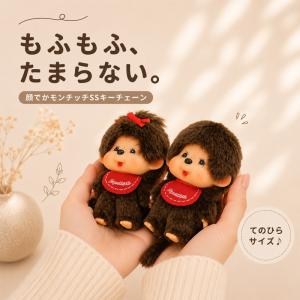HIPPERS Monchhichi ヒッパーズ モンチッチ アソートボックス(12個入