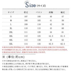 シャツ レディース ロング 長袖 リネン ブラ...の詳細画像2