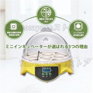 孵卵機 P-008B型 (バイオ仕様) 自動転卵装置付き (フランキ 孵卵