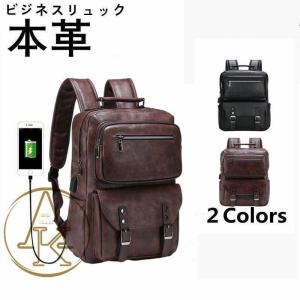 LOUIS VUITTON ルイヴィトン ビジネスバッグ セルヴィエット