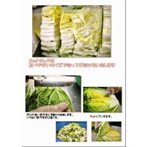 白菜キムチ 辛口 1kg カットキムチ 株漬け...の詳細画像4