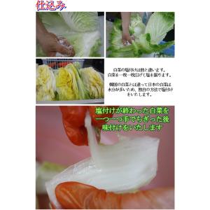 白菜キムチ 牡蠣入りキムチ 500g 手作りキ...の詳細画像1
