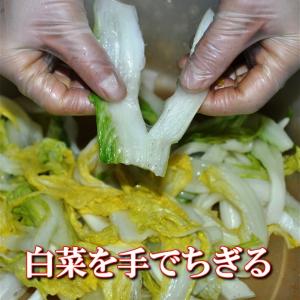 白菜キムチ 牡蠣入りキムチ 500g 手作りキ...の詳細画像2