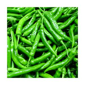 青唐辛子 生野菜 韓国産 300ｇ バーベキュー 焼肉 サンギョップサル フルーツキムチ 手作りキム...