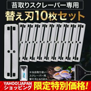 プロレイザー スクレーパー 水槽 コケ取り 替え刃 10枚