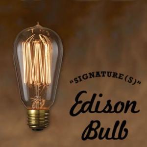 おもしろ 雑貨 インテリア エジソンバルブ Edison Bulb SIGNATURE Sサイズ タングステン電球  照明 口金E26タイプ 40W 60W
