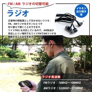 【レビュー特典】Hiポータブルテレビ ラジオ ...の詳細画像4