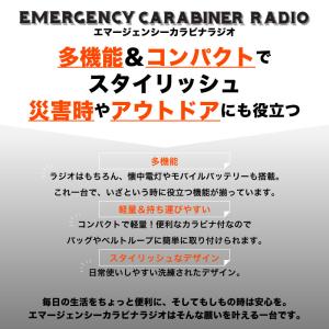 1年保証 RELAX エマージェンシー カラビ...の詳細画像3