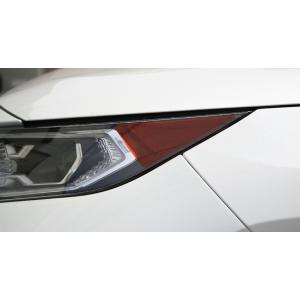 ROADHOUSE（ロードハウス） RAV4 ラヴフォー 50系 リア用 ドアハンドル