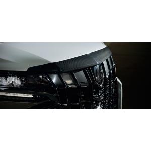 ALPINE（アルパイン） PKG-C2500FDY2-AL2 アルファード専用 (30系