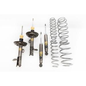 ESPELIR（エスペリア） スーパーアップサス RAV4 MXAA54 M20A-FKS H31