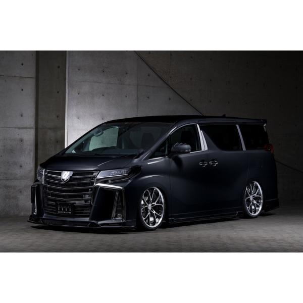 エムズスピード アルファード 30系 GGH AGH AYH 後期 フロントハーフスポイラー LED...