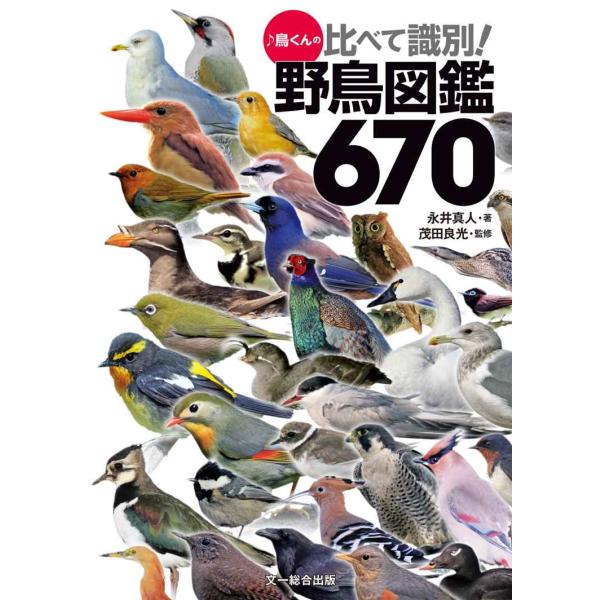 鳥くんの比べて識別 野鳥図鑑670