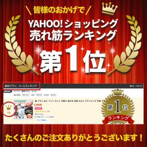 ペット 猫 ブラシ ねこ セット 毛取り 抜け...の詳細画像1