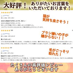 ペット 猫 ブラシ ねこ セット 毛取り 抜け...の詳細画像3