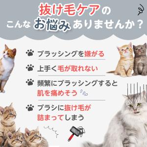 ペット 猫 ブラシ ねこ セット 毛取り 抜け...の詳細画像5