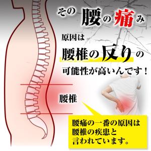 腰痛ベルト 腰用ベルト 医療用 スポーツ用 メ...の詳細画像4