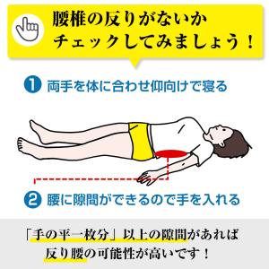 腰痛ベルト 腰用ベルト 医療用 スポーツ用 メ...の詳細画像5
