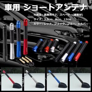 ショートアンテナ 車 3cm 8cm 12cm ユーロタイプ 高感度 交換 ルーフ ワンセグ カーナビ フルセグ おしゃれに ラジオ 受信 ほぼ全車種対応(要確認)