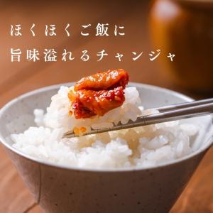 《冷凍》日本チャンジャ（タラ塩辛）　５００ｇ　＜韓...